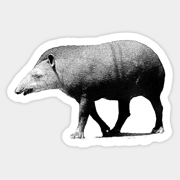 Tapir Sticker by Guardi